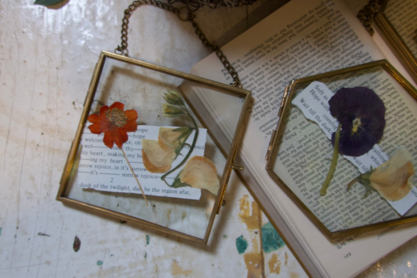 pressed flowers