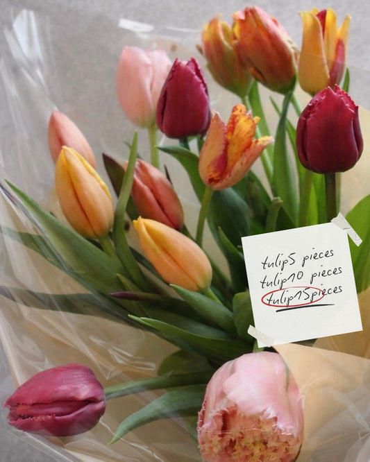 ランダムチューリップ 15本